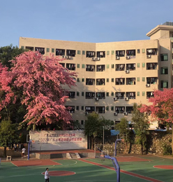 電腦數(shù)控全自動(dòng)四柱龍門(mén)移動(dòng)頭夾子送料裁斷機(jī)（下料機(jī)）